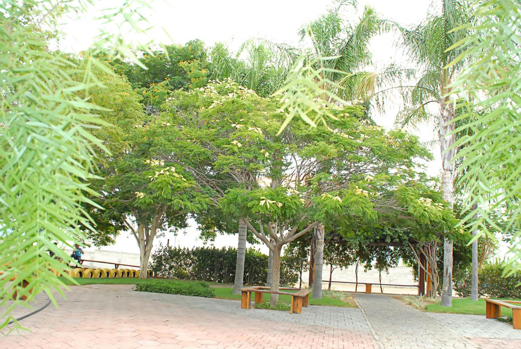 Hotel Flor Da Chapada Itaberaba Luaran gambar